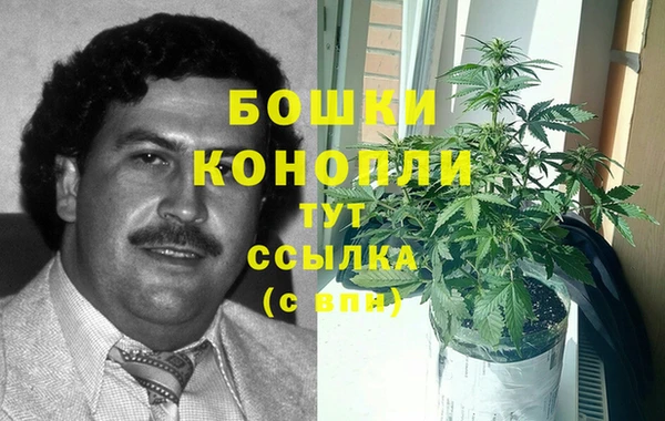 каннабис Алзамай