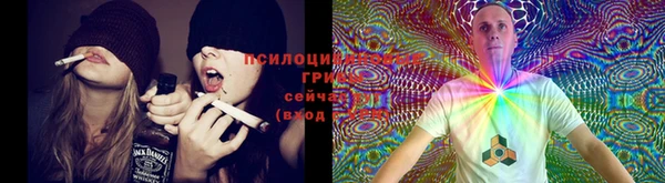 кокаин премиум Алексеевка