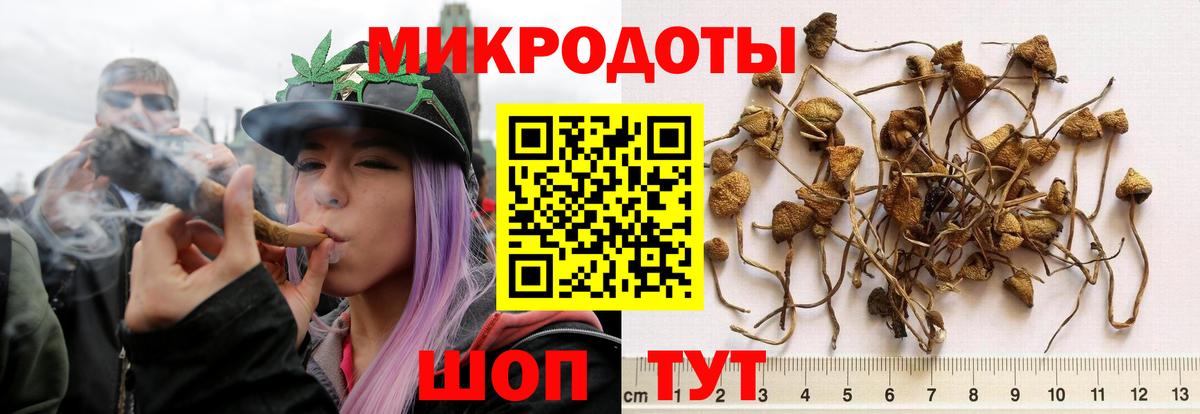 Лобня  Псилоцибиновые грибы GOLDEN TEACHER  Галлюциногенные грибы Psilocybe  Вход с VPN 